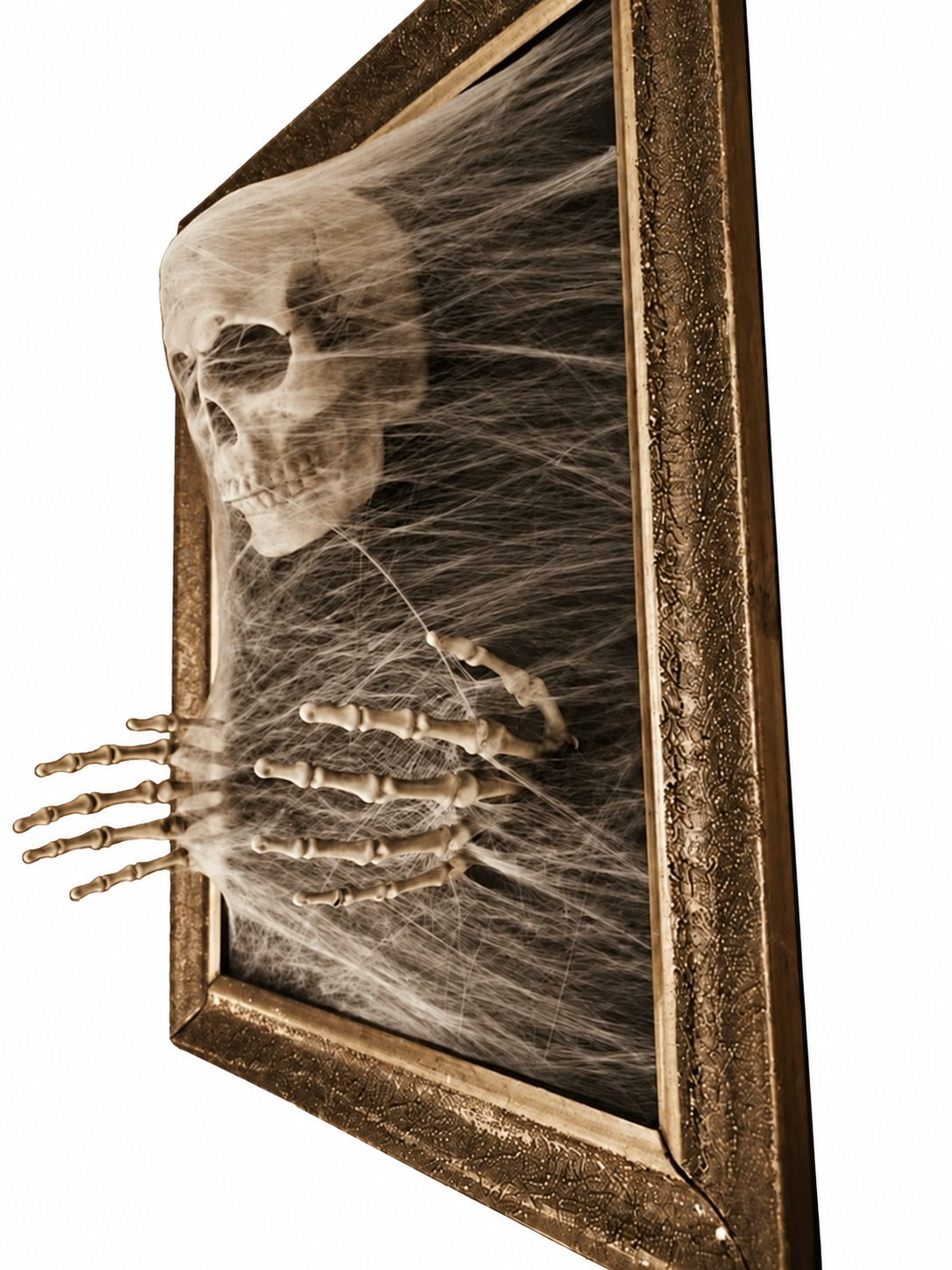 Skeleton wall art with a skull, hands, and cobwebs in a gold picture frame